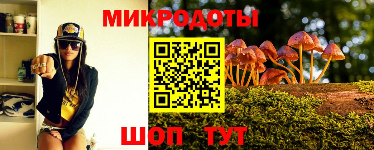 Галлюциногенные грибы Psilocybine cubensis  Вход с VPN  Качканар 